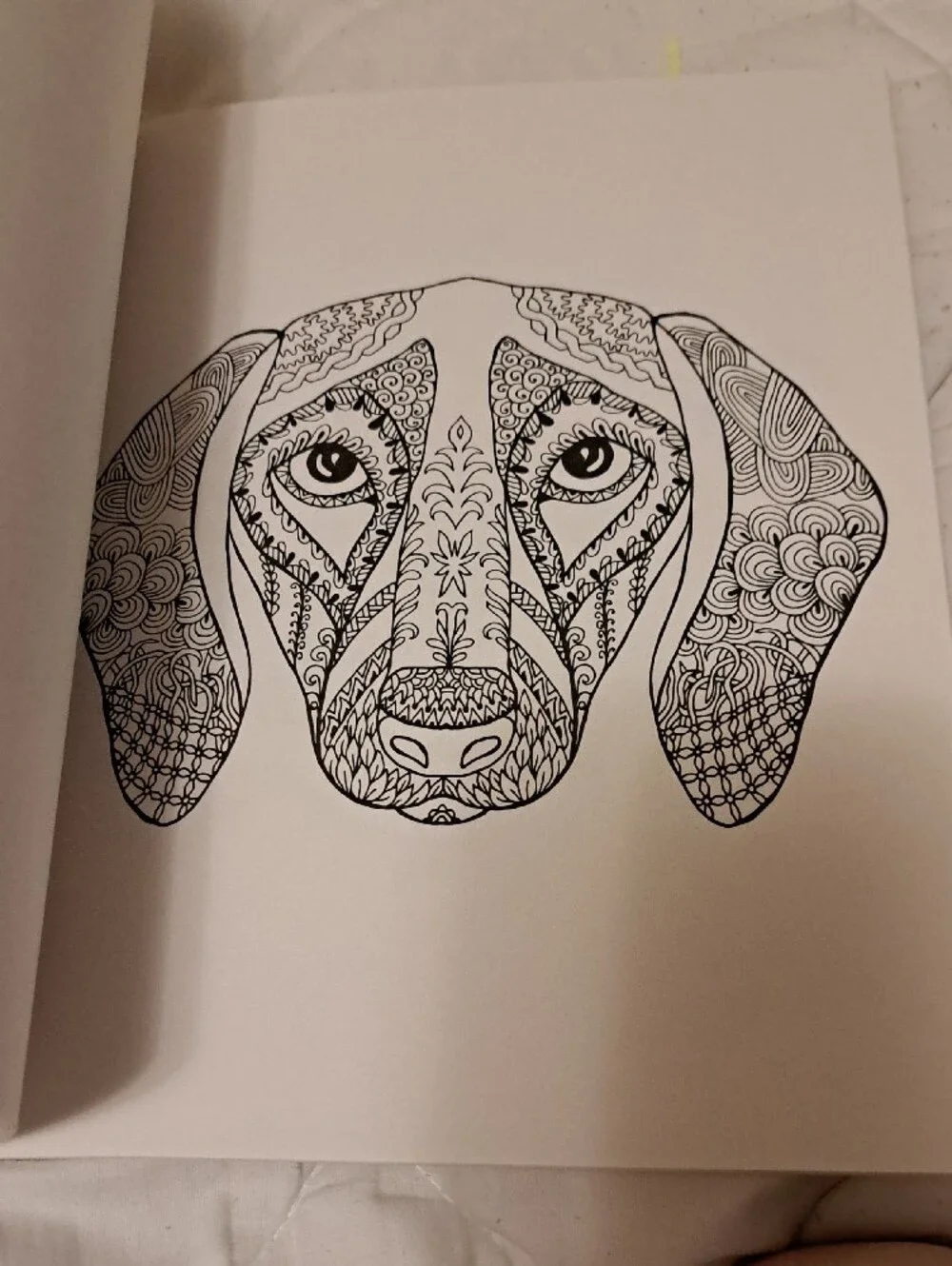 Colorama Delightful Dogs Coloring Book by Bullhead – Multicolor